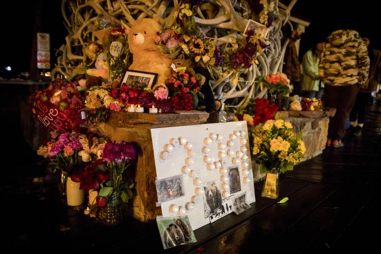 A shrine sits on the corner of town square to mourn the loss of grizzly bear No. 399 at a candlelight vigil in Jackson, Wyo., Saturday, Nov. 2, 2024.