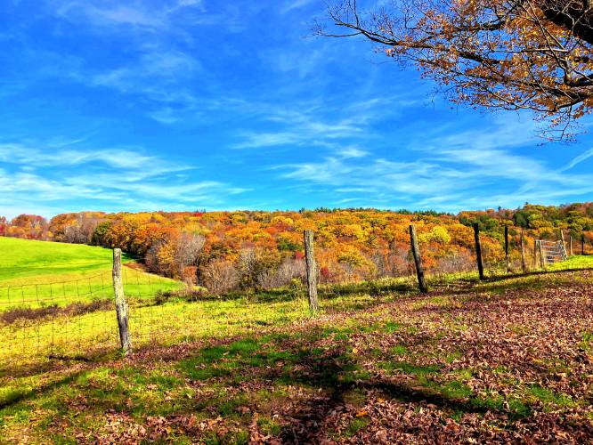 Richard Philben submitted this photo of a beautiful view on Cooper Lane in Shelburne.