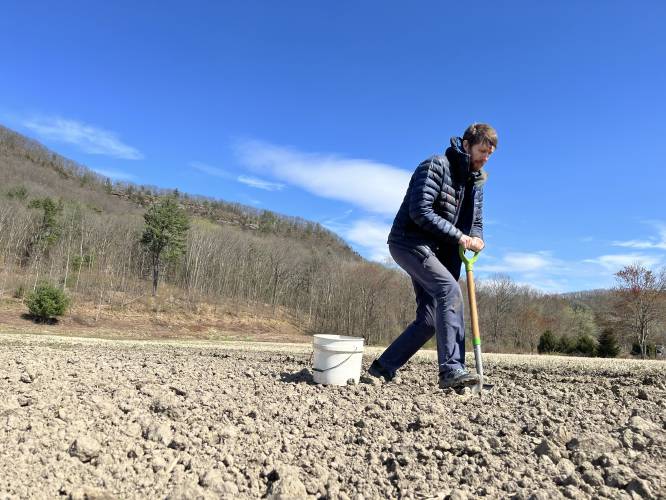 Eric Giordano, a designer with Regenerative Design Group, collects a soil sample in Deerfield in 2023. With a $99,900 grant, the Greenfield-based ecological design firm will develop best practices to help implement the state’s Healthy Soils Action Plan.