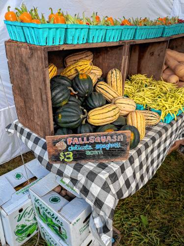 The early fall harvest from Coolidge Hill Farm in New Salem, all of which can be bought with HIP.