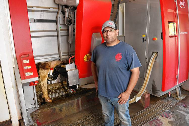 Adam Griffin monitors a cow being robotically milked at Clessons River Farm in Buckland.