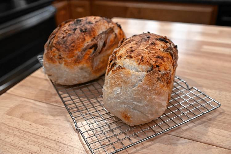 Two freshly baked loaves of roasted garlic and asiago sourdough bread from The Sourdog, a cottage bakery, in Orange.