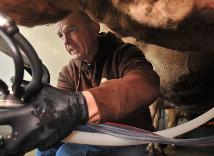 Bruce Jenks of Maple Valley Creamery in Hadley milks his cows in 2018. Jenks appeared before Deerfield’s Zoning Board of Appeals on Thursday evening to discuss preliminary plans to renovate the kitchen at 282 Greenfield Road in South Deerfield and operate the long-vacant site as a farmstand.