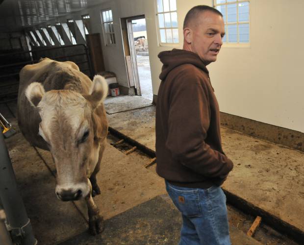 Bruce Jenks of Maple Valley Creamery in Hadley milks his cows in 2018. Jenks appeared before Deerfield’s Zoning Board of Appeals on Thursday evening to discuss preliminary plans to renovate the kitchen at 282 Greenfield Road in South Deerfield and operate the long-vacant site as a farmstand.