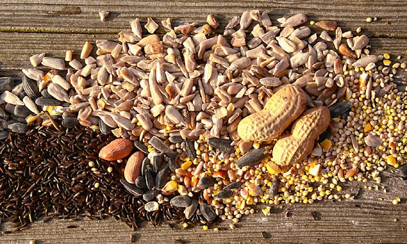 Going clockwise from top left, we have black-oil sunflower, shelled sunflower, white millet with cracked corn, peanuts in the shell, peanuts out of the shell and Nyjer seeds.