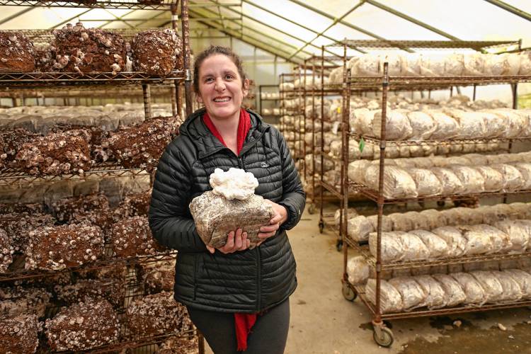 Julia Coffey holds a lion’s mane mushroom in front of racks of shiitake and lion’s mane mushrooms at Mycoterra Farm in Deerfield.