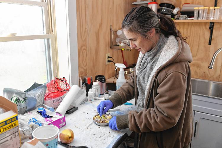 Amelie Dricot-Ziter prepares food for an opossum at the Leyden Center for Wildlife Rehabilitation.