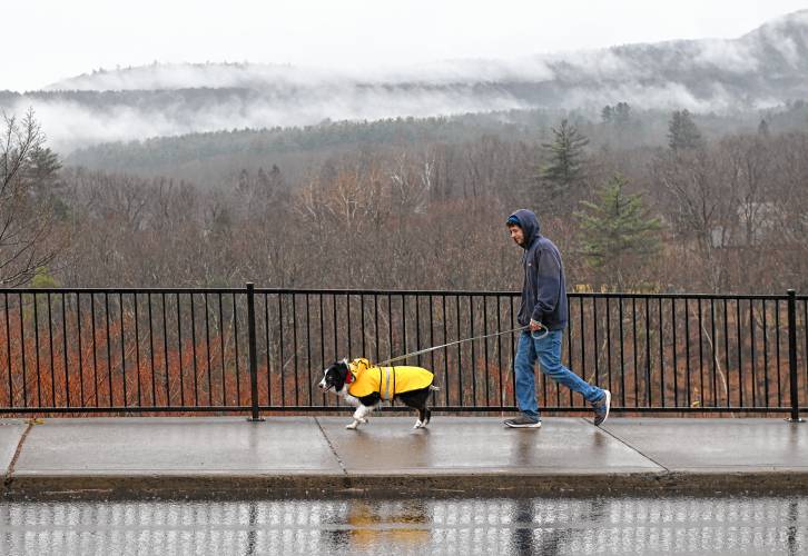 Shelburne Falls resident Joseph Doty walks Ximi along Bridge Street in Shelburne Falls in a light rain.