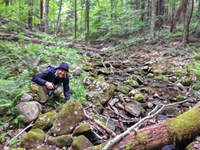 Northfield entomologist Charley Eiseman, pictured exploring Aton Forest in Norfolk, Connecticut.