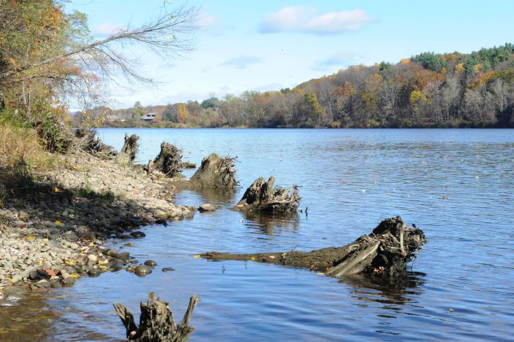 The western bank of the Connecticut River in Gill across from the intake/outflow of the Northfield Mountain Pumped Storage Facility.